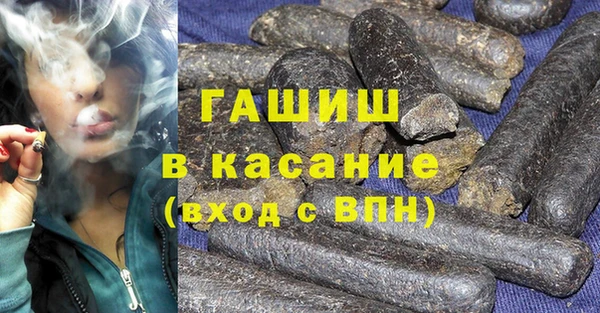 шишки Каменногорск