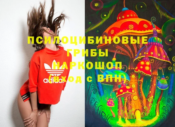 spice Абаза