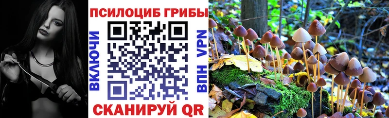 Псилоцибиновые грибы ЛСД  Темников 